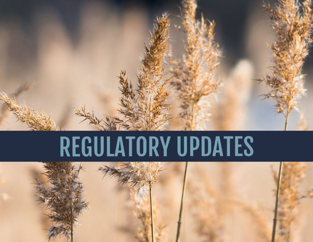 Regulatory Updates